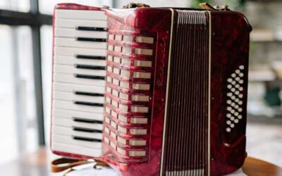 Last accordion repair shop 