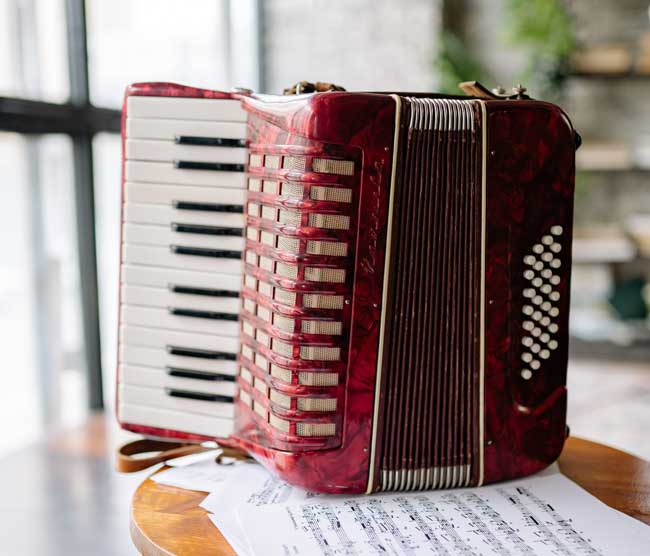 Last accordion repair shop 