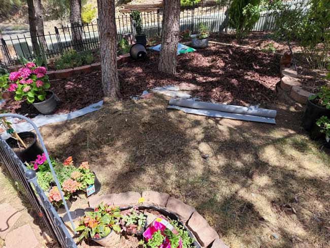 Adventures in gardening