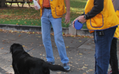 A new leash on life