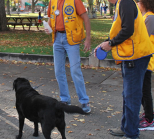 A new leash on life
